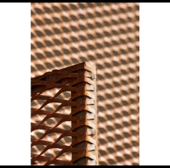 רשתות EXPANDED - 