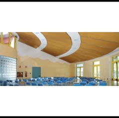 תקרות - 